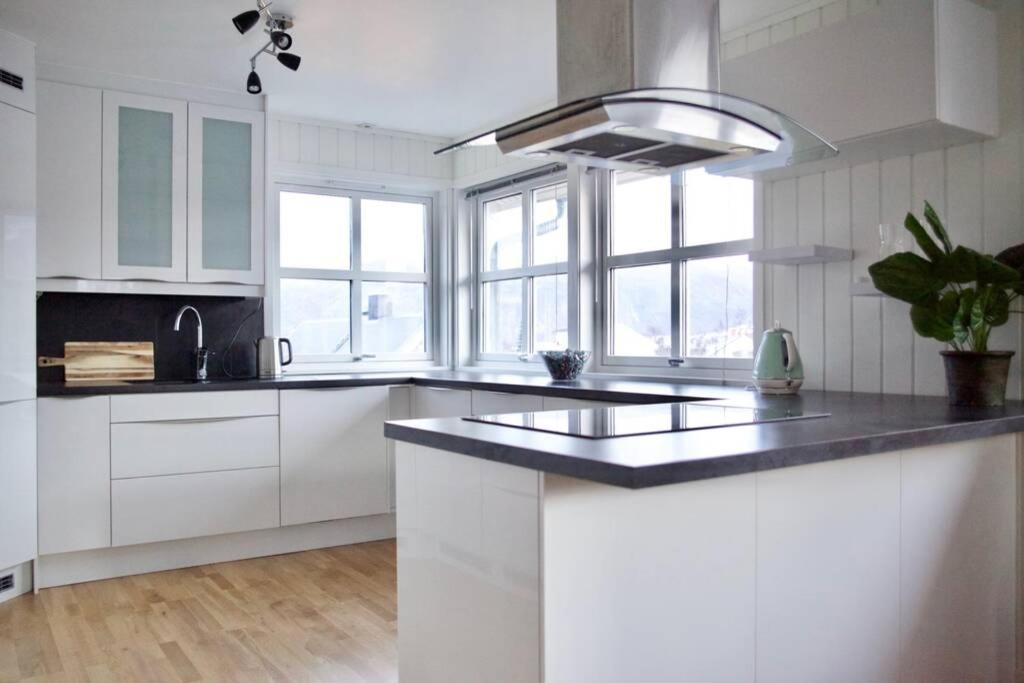 Large Modern House With A View Appartement